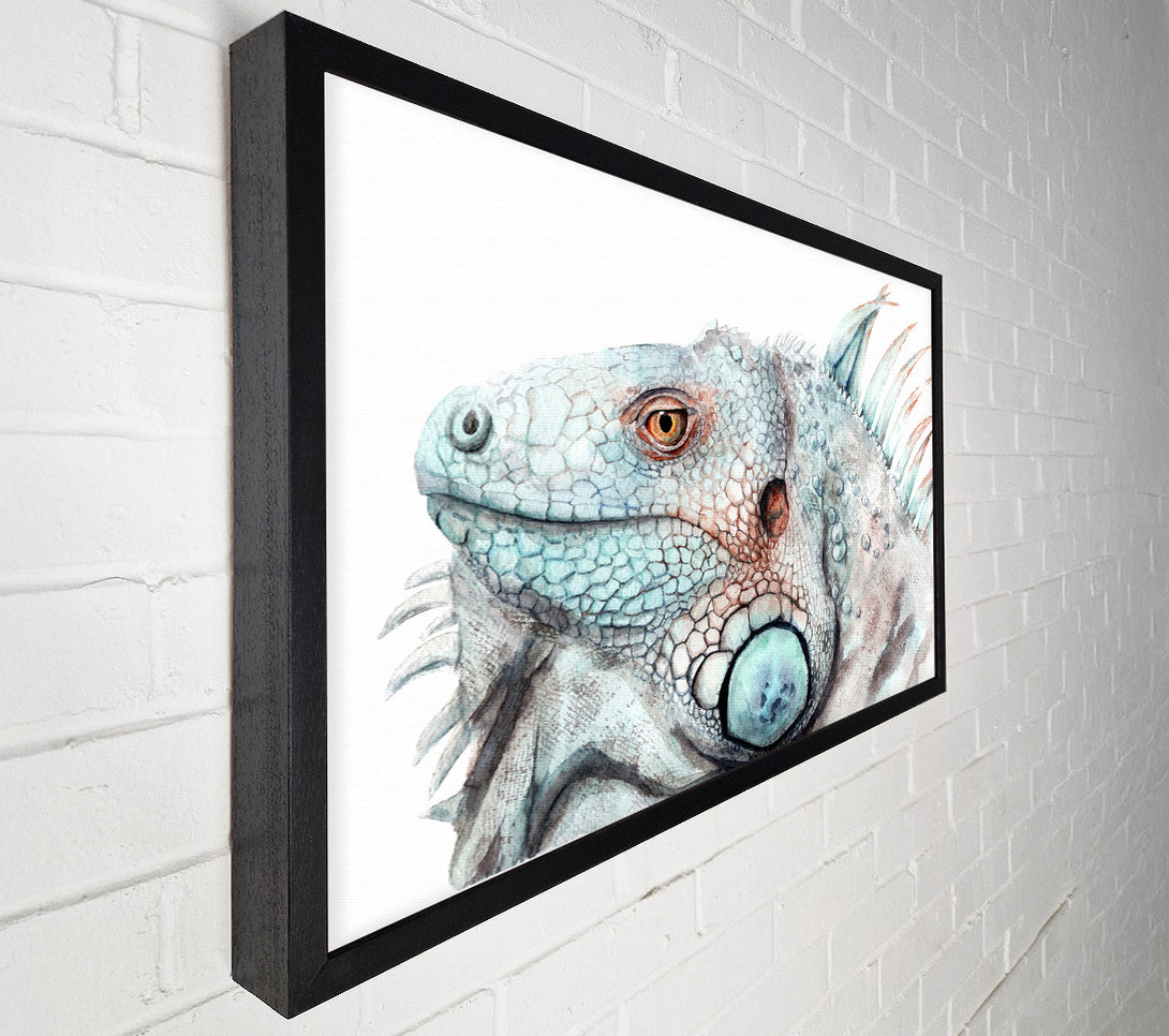  A Canvas Print of Iguana Stare Canvas Wall Art