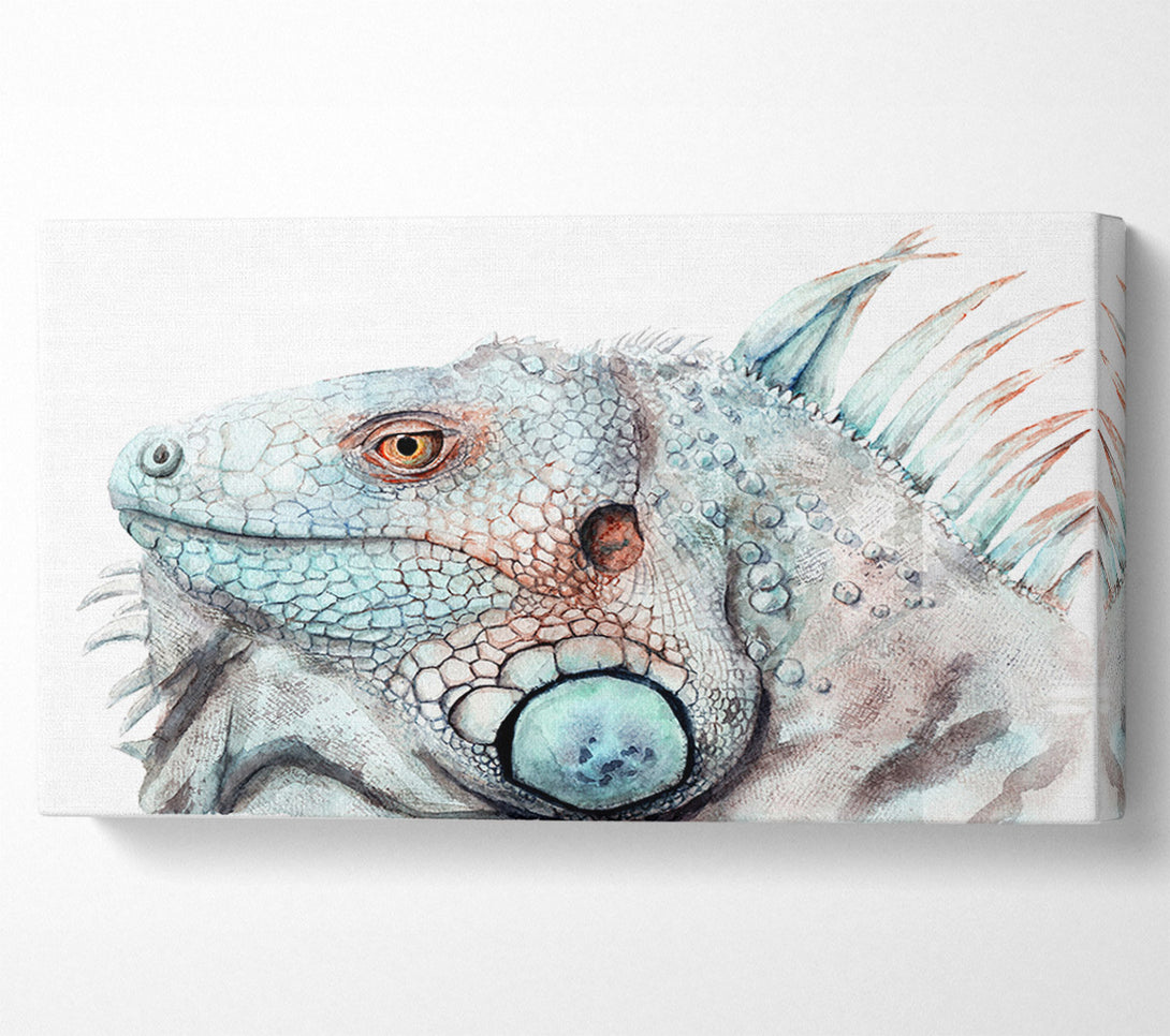  A Canvas Print of Iguana Stare Canvas Wall Art