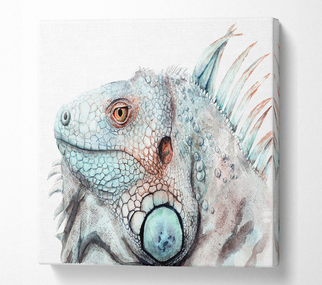  A Canvas Print of Iguana Stare Canvas Wall Art