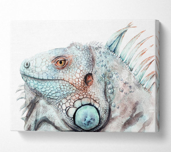  A Canvas Print of Iguana Stare Canvas Wall Art