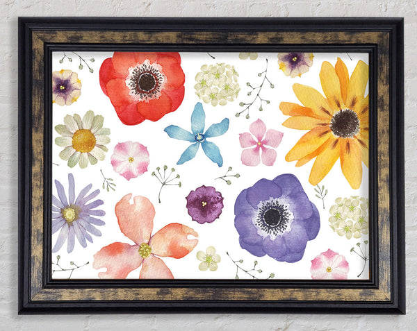 Aerial View Flowers Framed Print