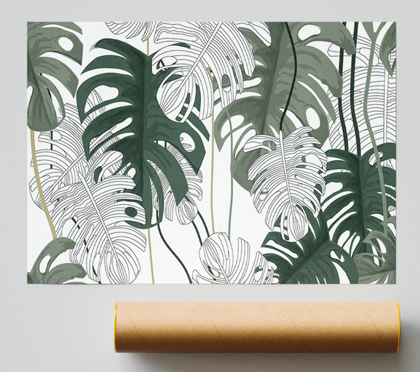 Cheese Plant Leaves Giclee Print