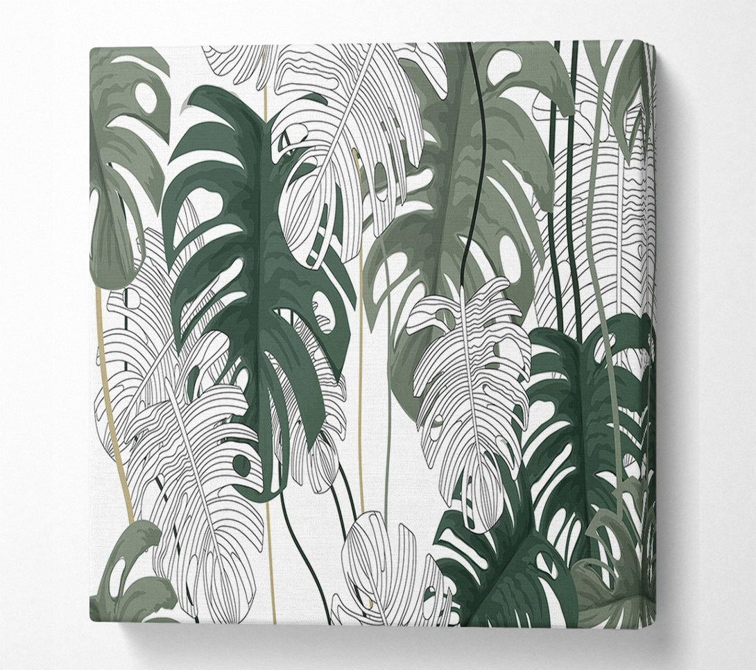  A Canvas Print of Cheese Plant Leaves Canvas Wall Art