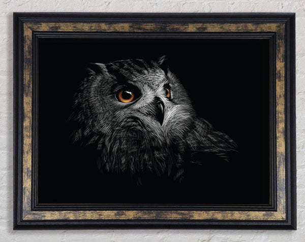 Owl In The Dark Of Night Framed Print