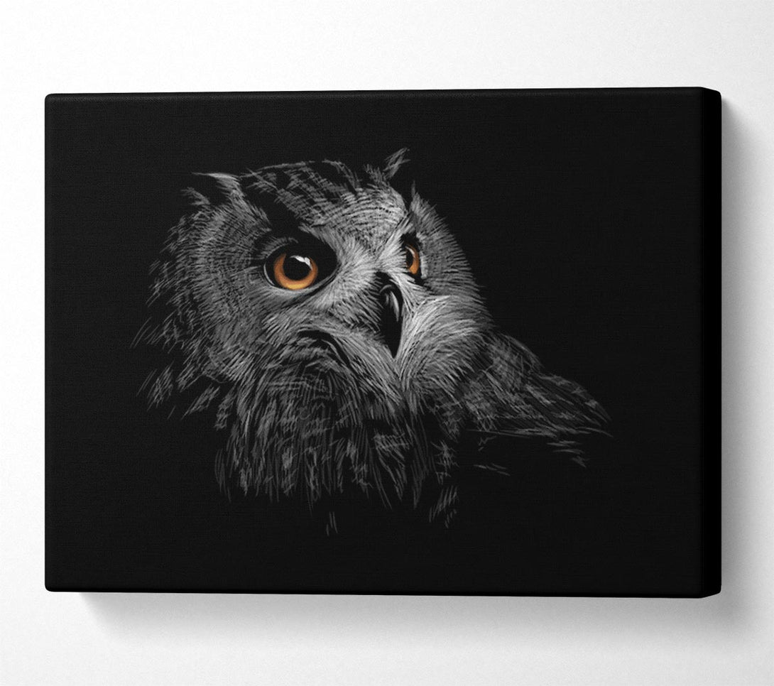  A Canvas Print of Owl In The Dark Of Night Canvas Art