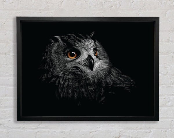 Owl In The Dark Of Night Framed Print
