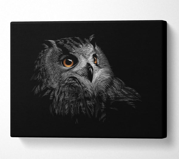  A Canvas Print of Owl In The Dark Of Night Canvas Art