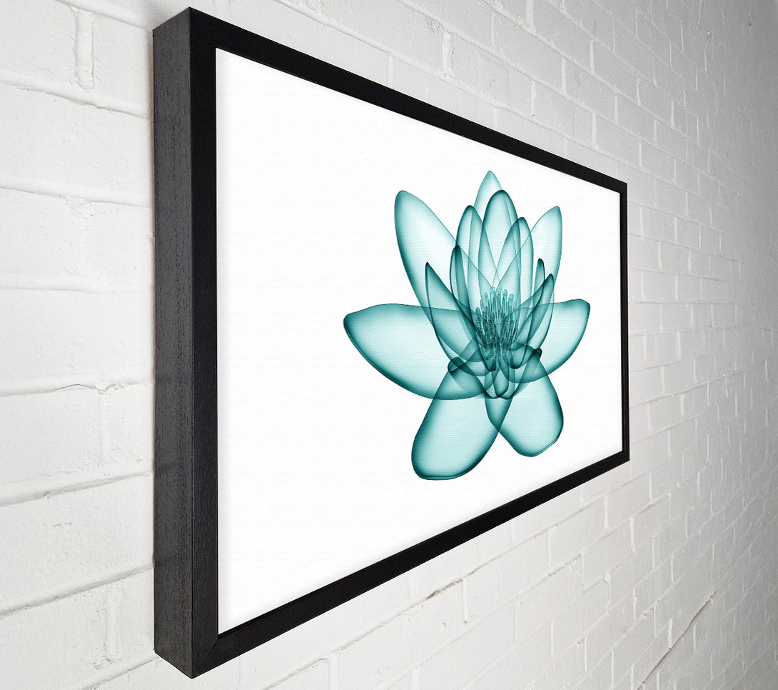  A Canvas Print of Transparent Green Leaves Canvas Print