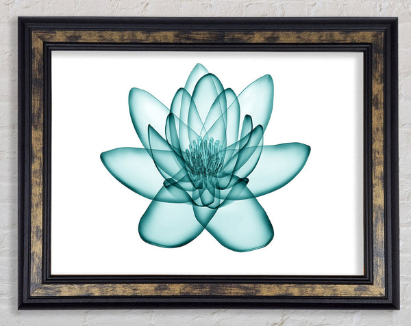 Transparent Green Leaves Framed Print
