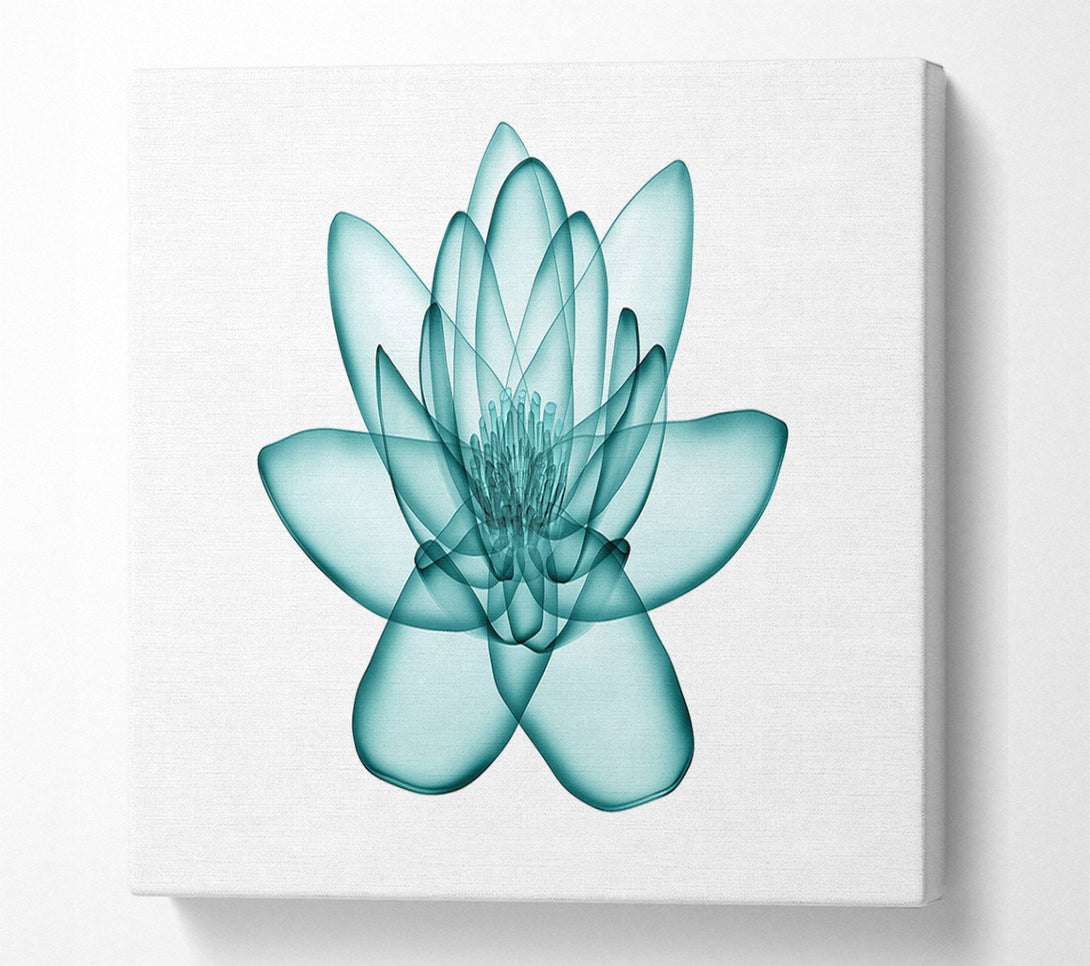  A Canvas Print of Transparent Green Leaves Canvas Print