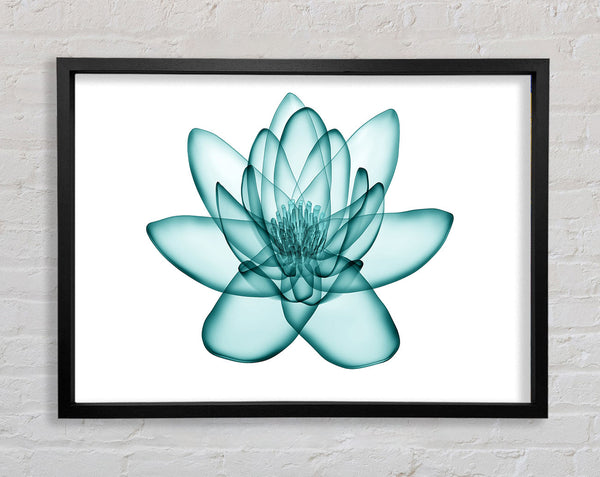 Transparent Green Leaves Framed Print