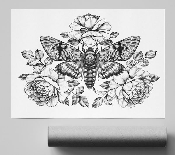 Death Head Moth Print