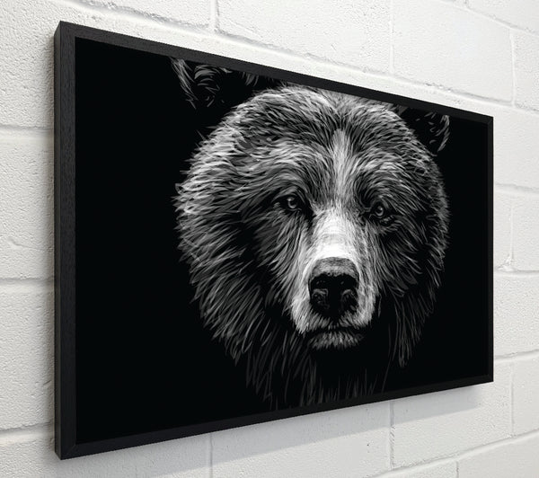 Black And White Bear Face