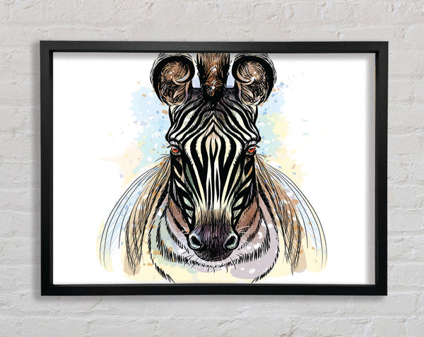 Stunning Zebra Head Framed Print