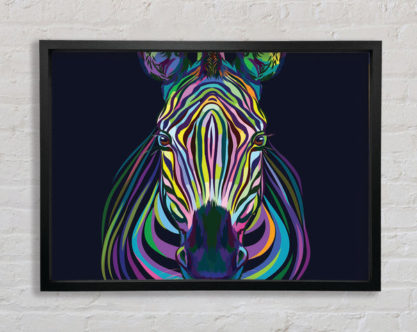 Stunning Zebra Vibrant Framed Print