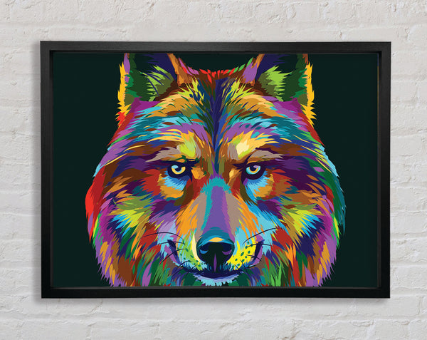 Stunning Wolf Head Framed Print