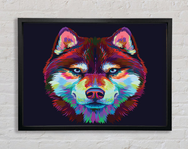 Vibrant Wolf Blues Framed Print