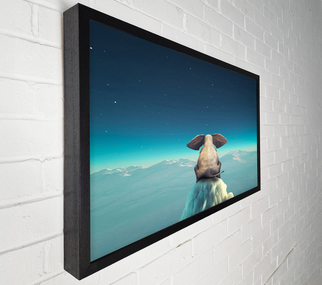  A Canvas Print of Elephant On A Cliff Canvas Wall Art