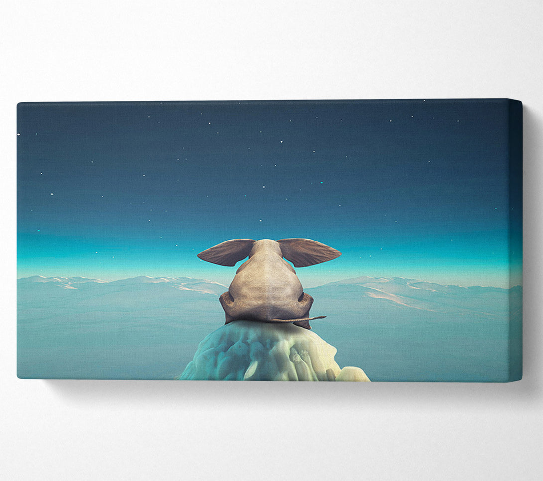  A Canvas Print of Elephant On A Cliff Canvas Wall Art