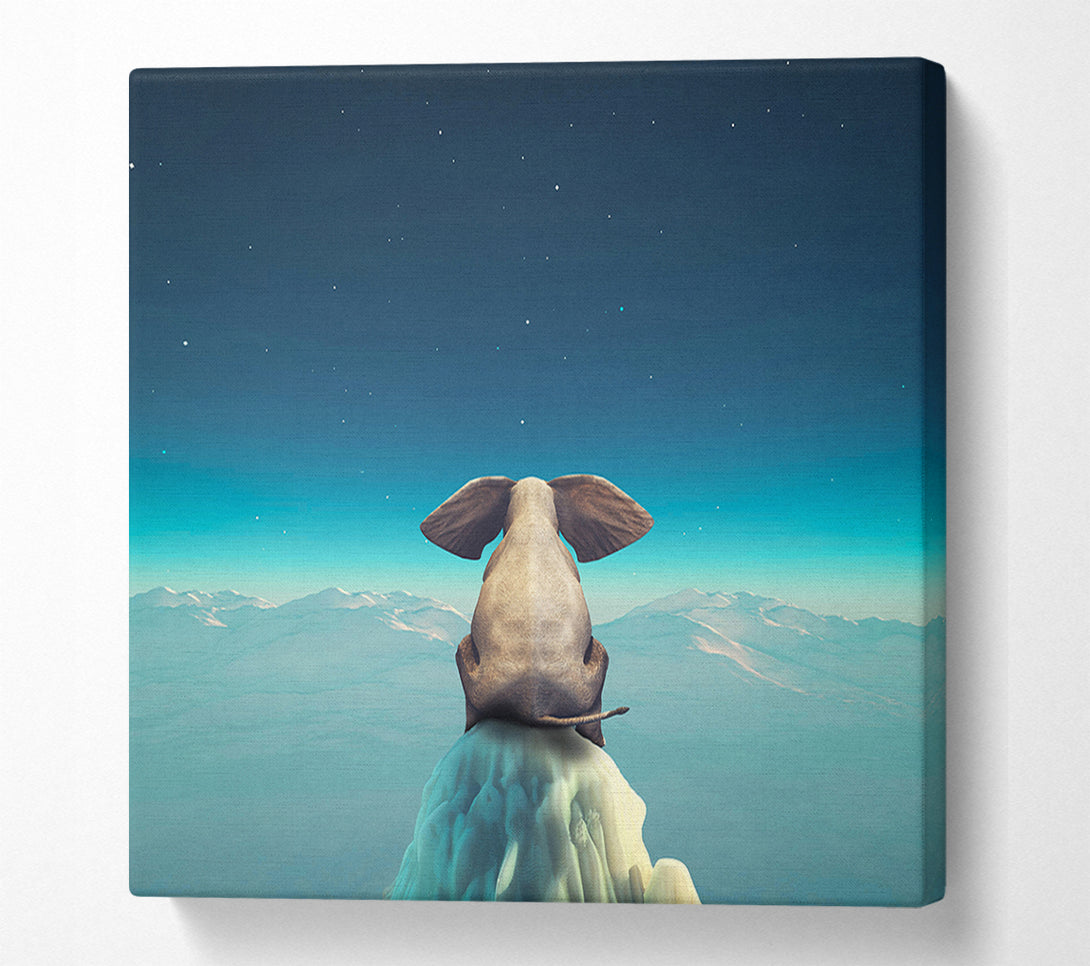  A Canvas Print of Elephant On A Cliff Canvas Wall Art
