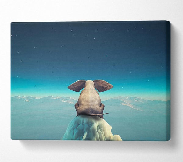  A Canvas Print of Elephant On A Cliff Canvas Wall Art