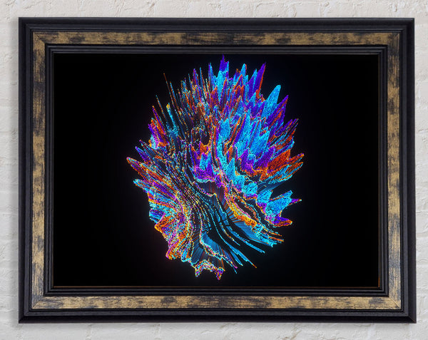 The Sphere Of Life Framed Print