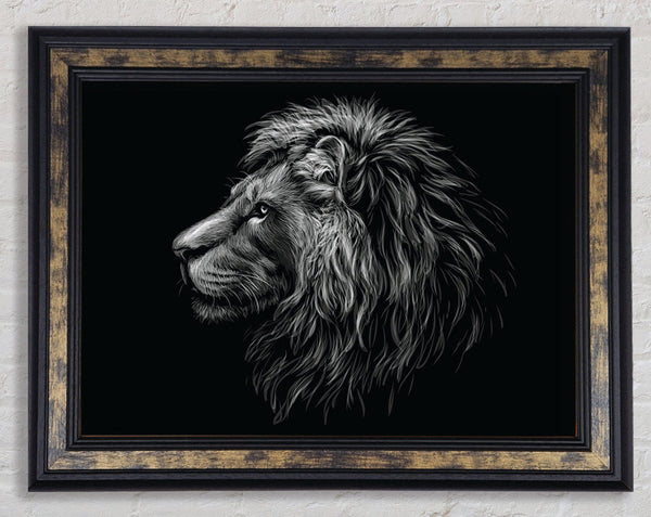 Side View Lion Framed Print