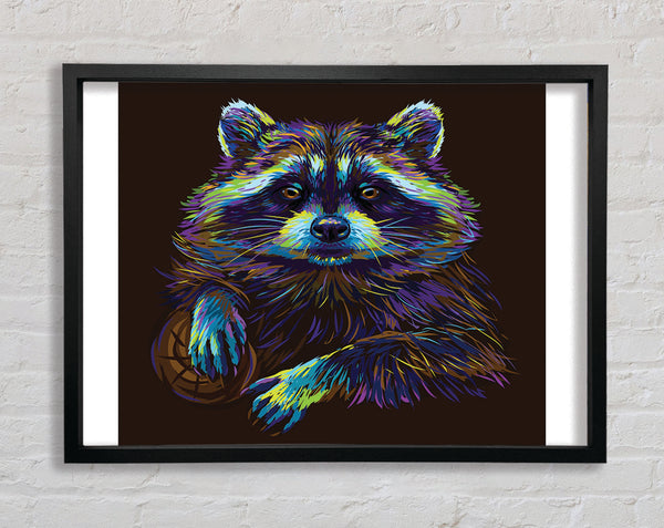 The Cheeky Racoon Framed Print