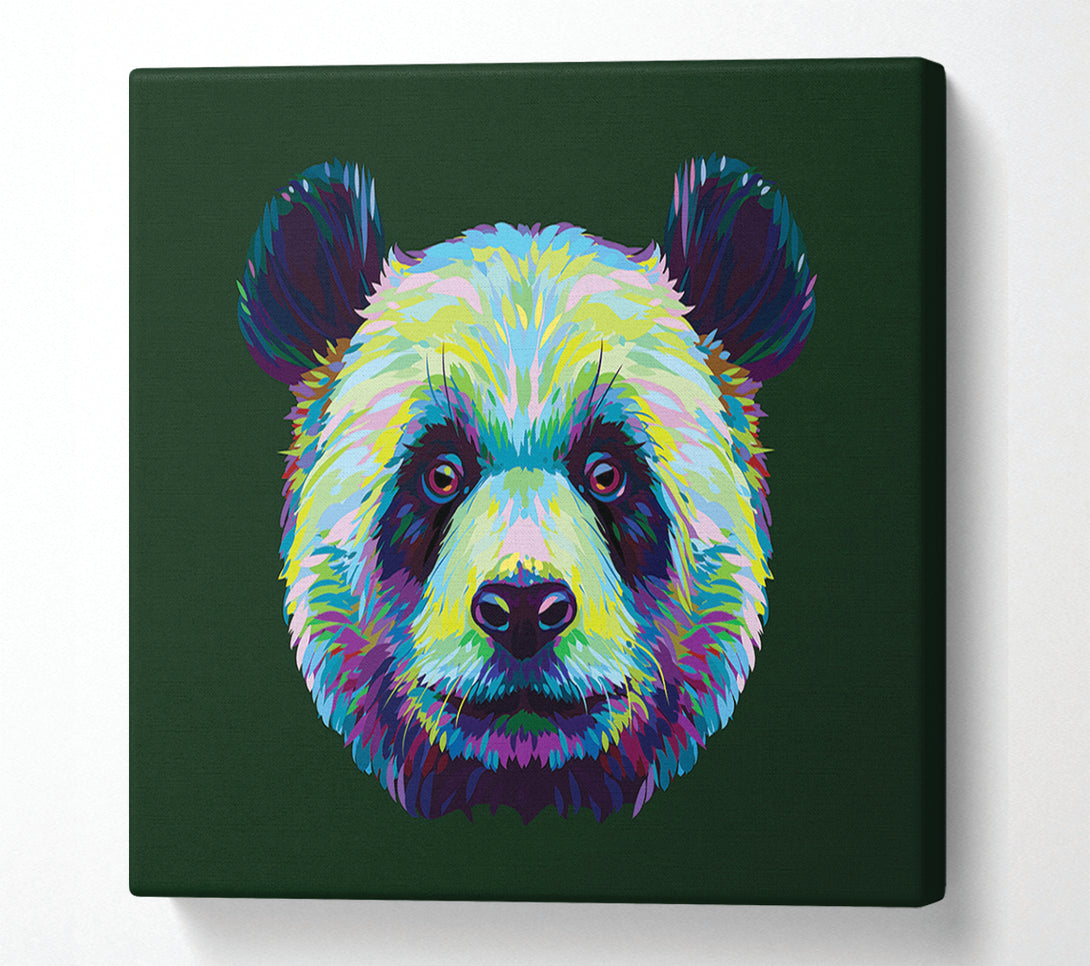  A Canvas Print of The Panda Head Canvas Wall Art