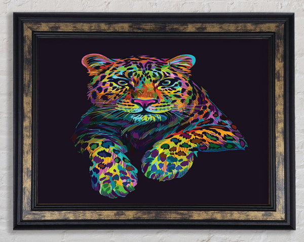 The Beautiful Leopard Framed Print