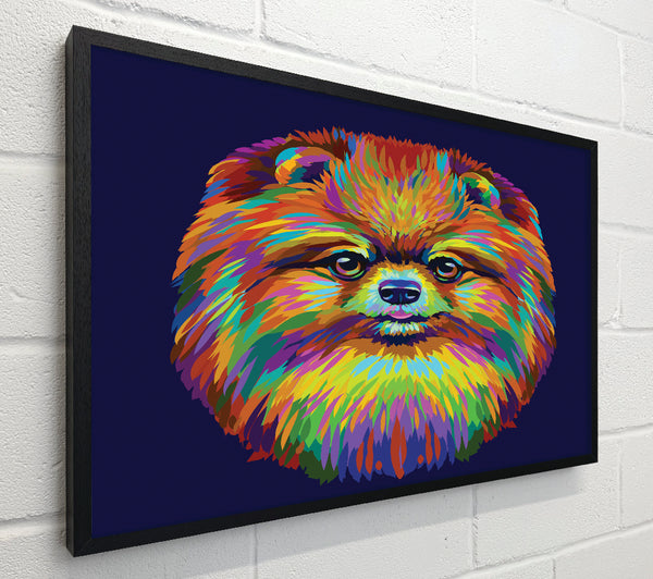 Big Fluffy Pomeranian