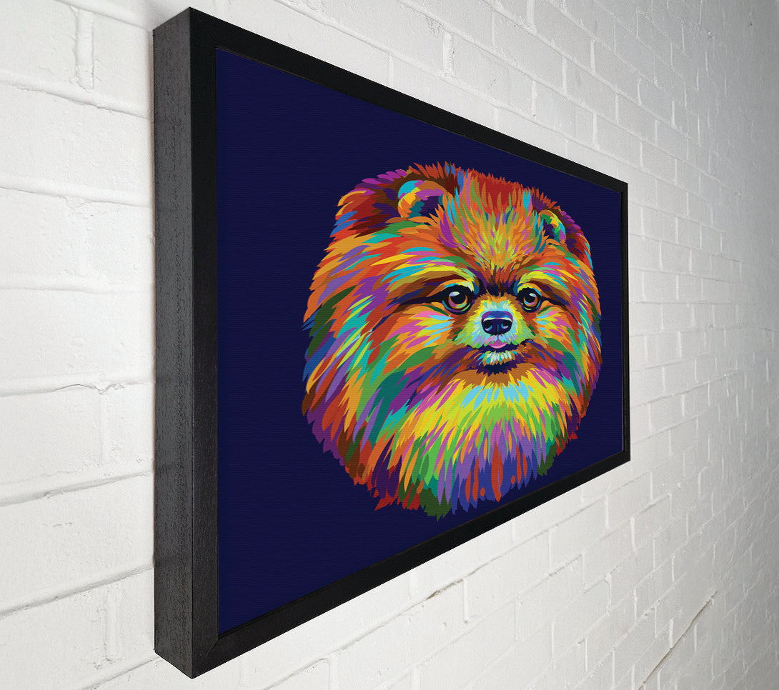  A Canvas Print of Big Fluffy Pomeranian Canvas Art