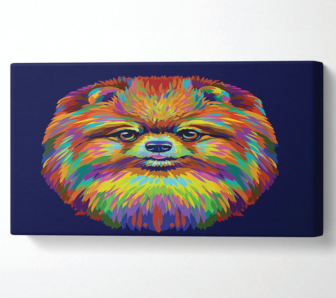  A Canvas Print of Big Fluffy Pomeranian Canvas Art