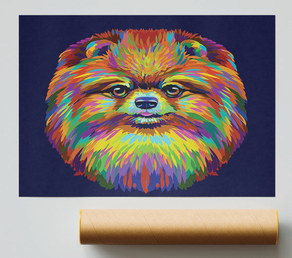 Big Fluffy Pomeranian Poster