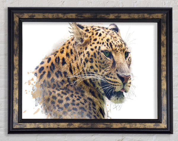 Watercolor Splash Leopard Framed Print
