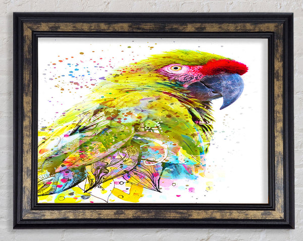 The Green Parrot Splatter Framed Print