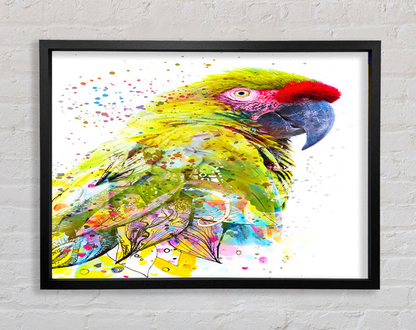 The Green Parrot Splatter Framed Print