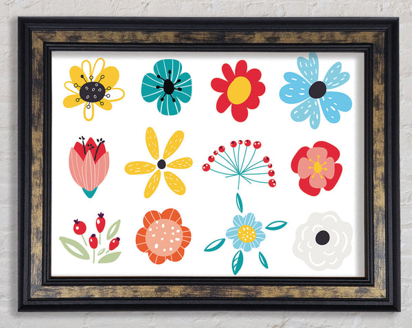 Twelve Summer Flowers Framed Print
