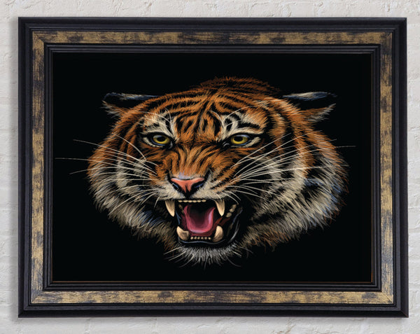 The Lion Angry Framed Print