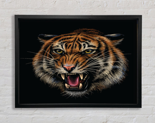 The Lion Angry Framed Print