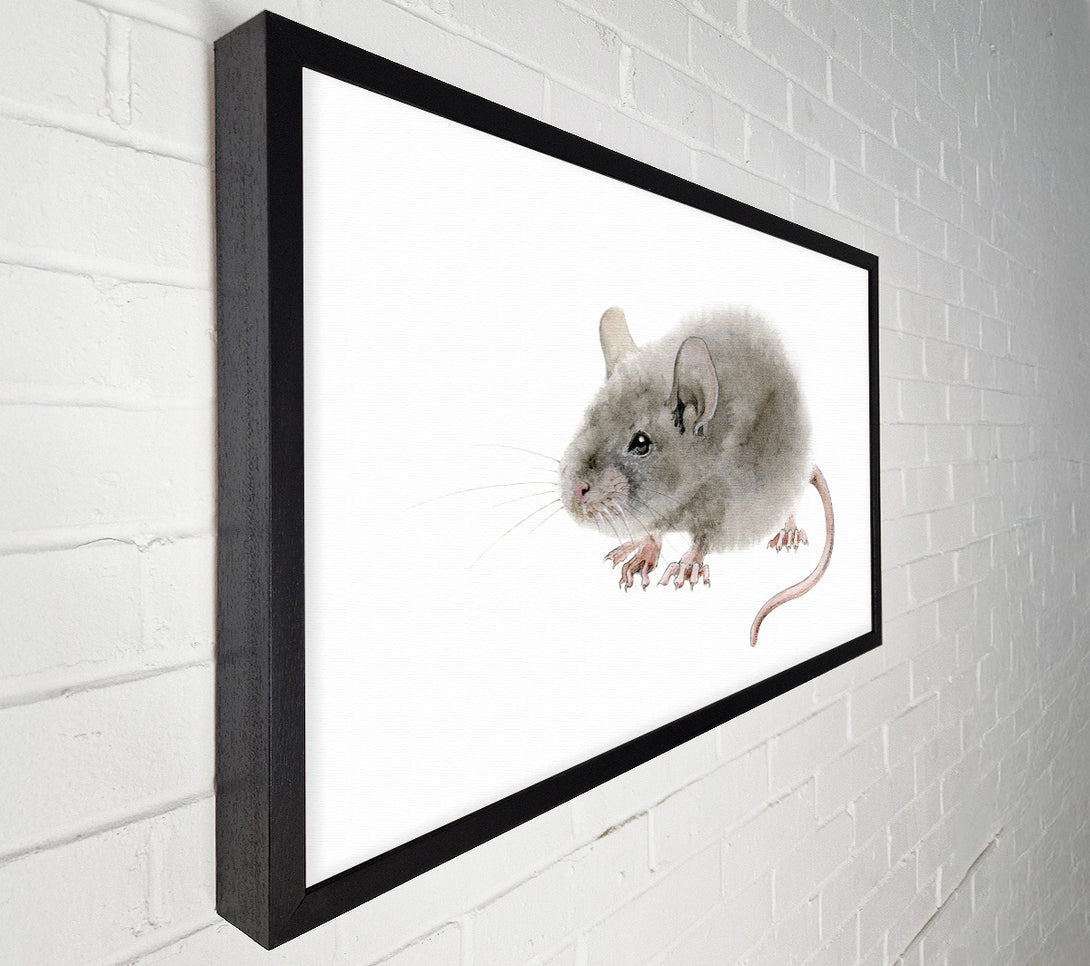  A Canvas Print of Cute Little Mouse Canvas Art