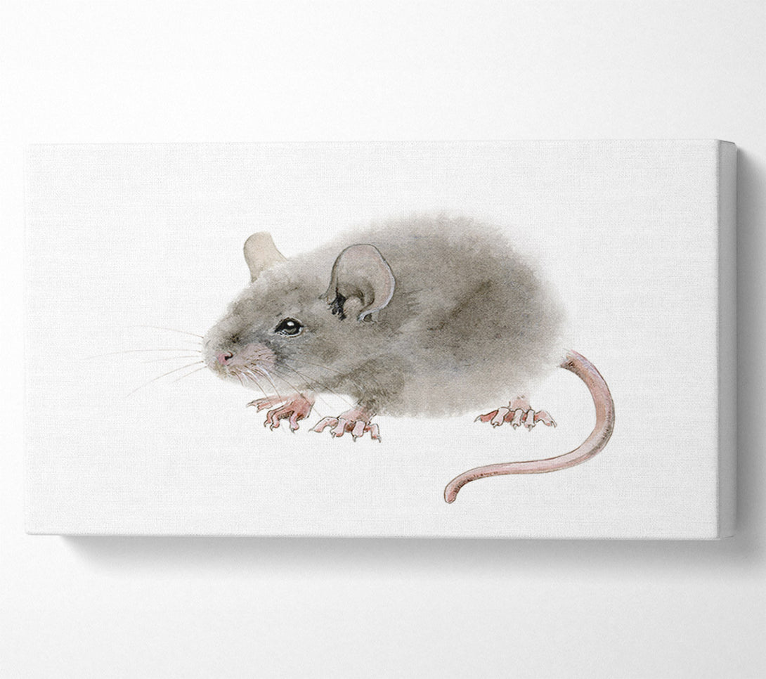 A Canvas Print of Cute Little Mouse Canvas Art