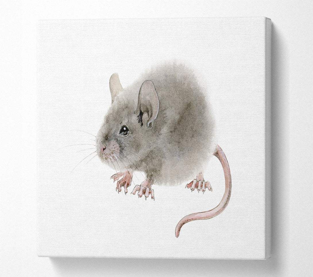  A Canvas Print of Cute Little Mouse Canvas Art