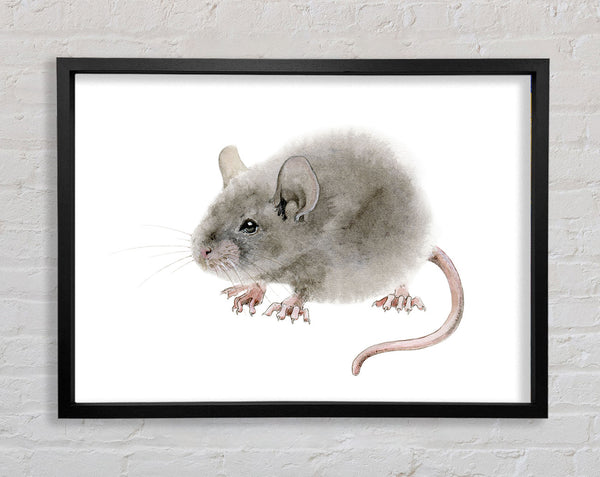 Cute Little Mouse Framed Print
