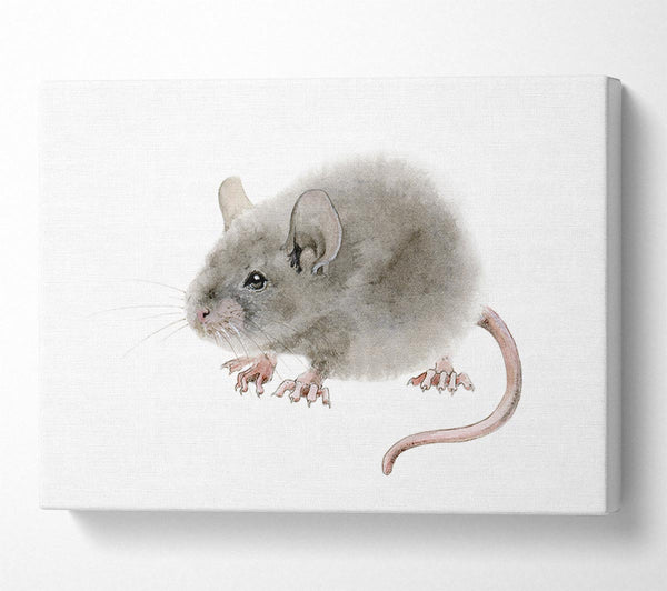  A Canvas Print of Cute Little Mouse Canvas Art