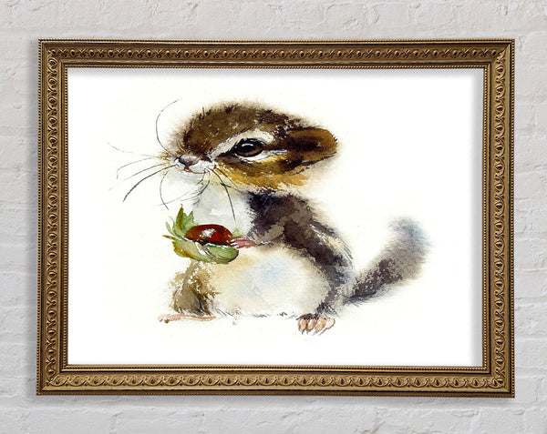 Cute Little Chipmunk Framed Print