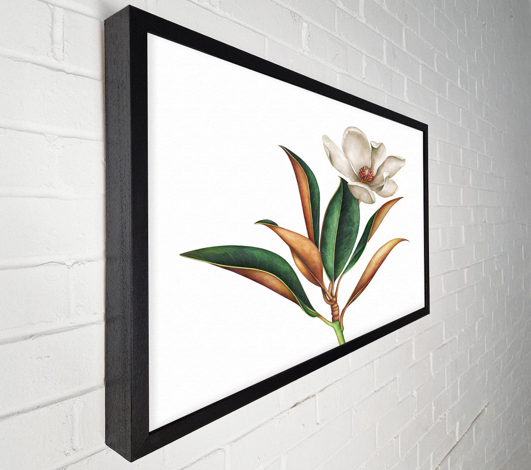  A Canvas Print of British Flower Illustration Canvas Wall Art