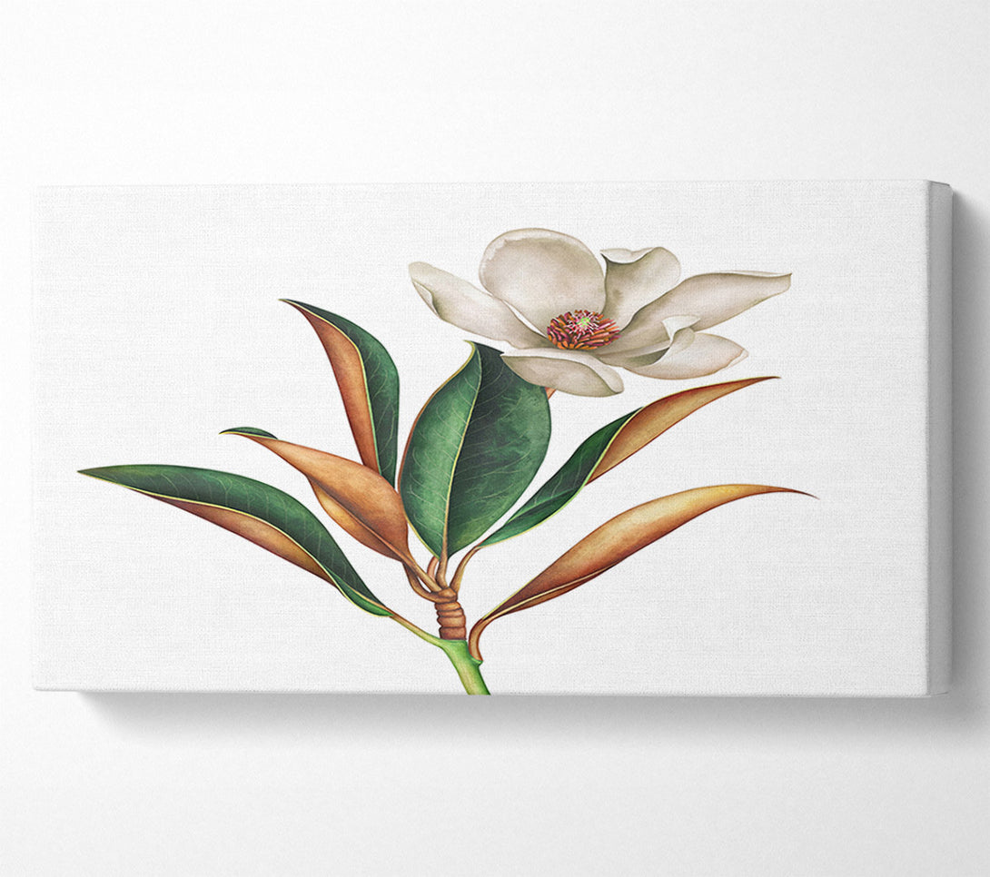  A Canvas Print of British Flower Illustration Canvas Wall Art
