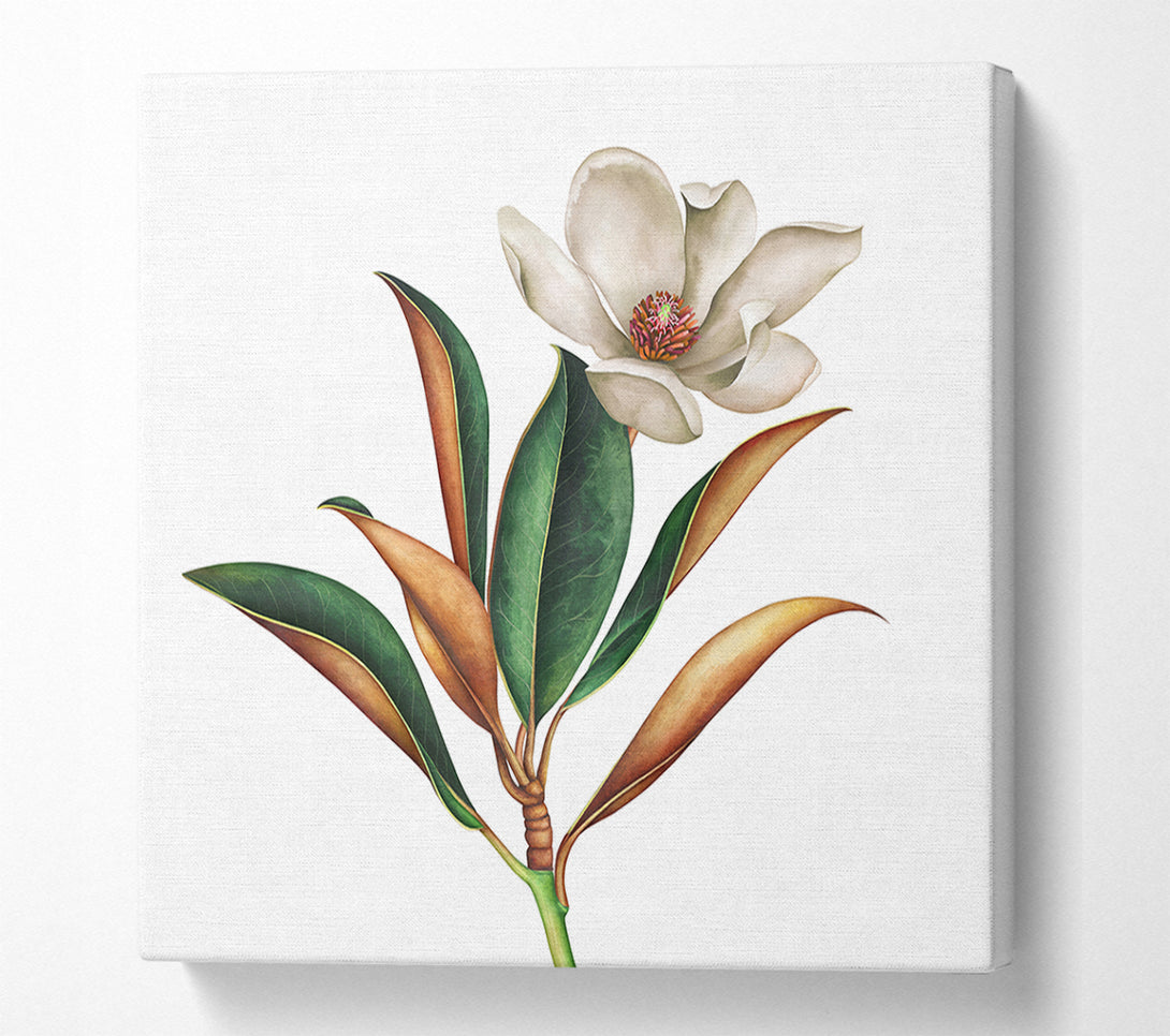  A Canvas Print of British Flower Illustration Canvas Wall Art