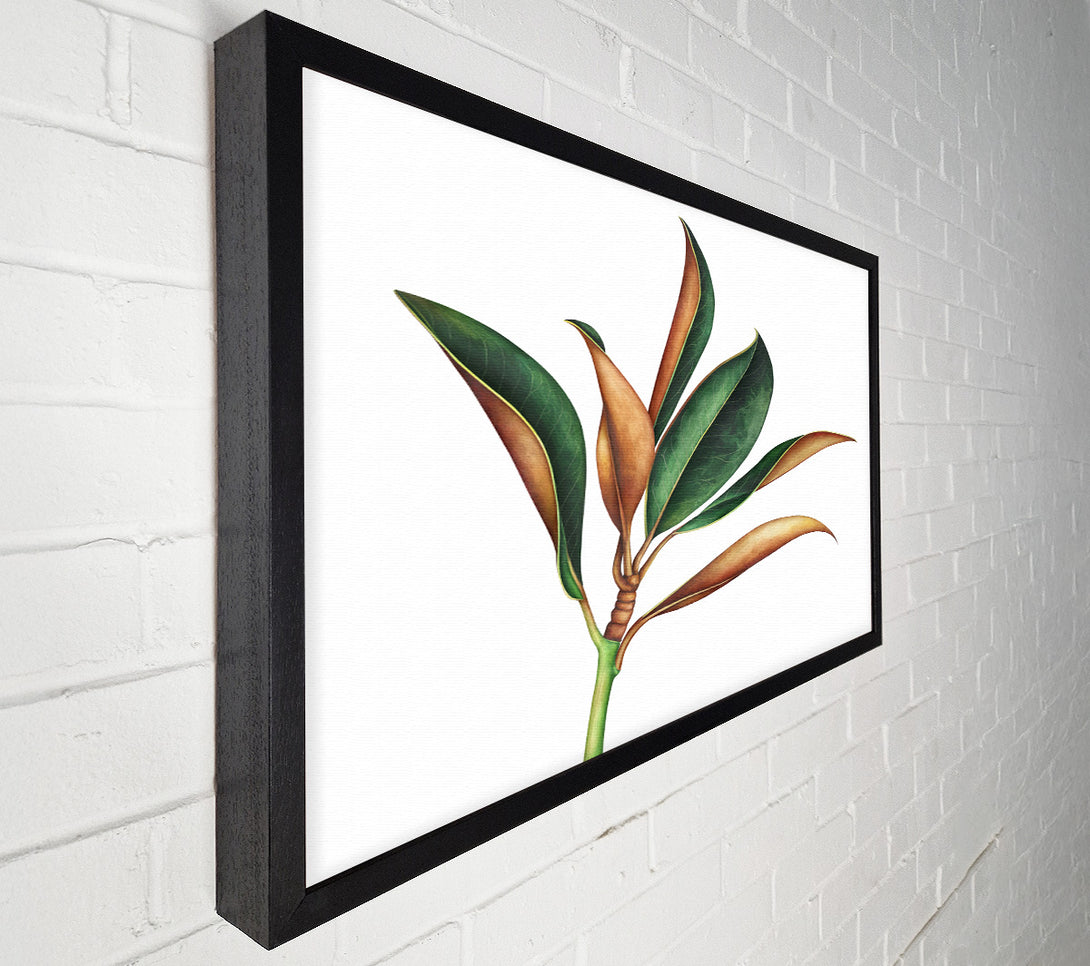  A Canvas Print of The Plant Drawing Canvas Art